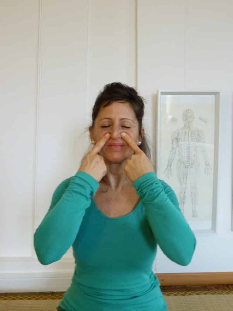 Cours de Qi Gong/Do In – Elément Métal